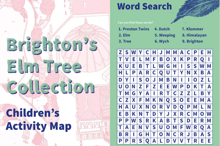 Brighton's Elm Tree Collection Map