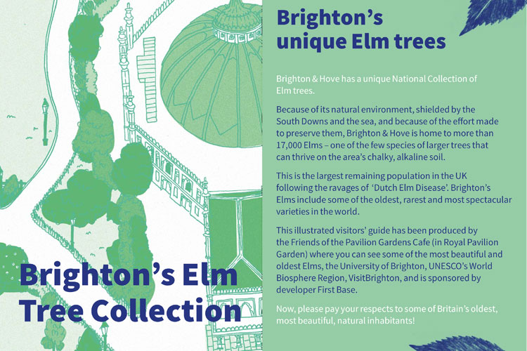 Brighton's Elm Tree Collection Map